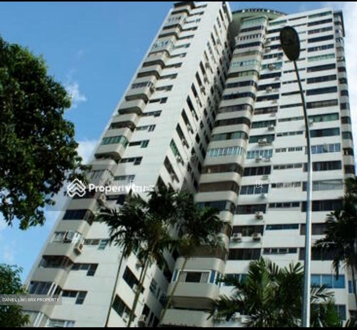 Rajah Tower (D12), Apartment #500712271
